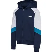 Hummel Loose Blocked Sweatshirt Met Rits