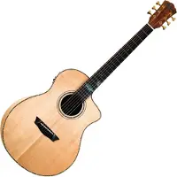 Washburn Bella Tono Allure SC56S Natural Jumbo elektro-akoestische gitaar