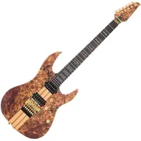 Sire Larry Carlton X10 Nt.S Dc Rn Natural Satin