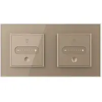 Livolo | Goud | SR | 2 | Slide-Dimmer - Bekijk hier!