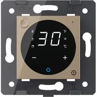 Livolo | Goud | SR | Module | Thermostaat voor 230V-apparaat | Smart