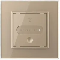 Livolo | Goud | SR | 1 | Slide-Dimmer - Bekijk hier!