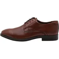 Ecco Veterschoen 'Melbourne' cognac
