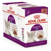 Royal Canin 12x Sensory Feel Gravy Kattenvoer Nat 85 gr