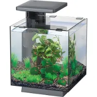 Superfish Aquarium QubiQ 15 Zwart 15 L