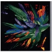 Pias Now Here No Where (CD)