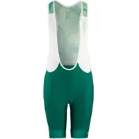 Craft Adv Endur Bib Shorts heren, groen - Maat L -