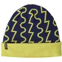 Patagonia Cap PowSlayer