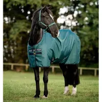 Horseware Amigo Ripstop 900D Plus 180 Dynasty Green