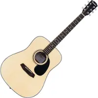 Pasadena PD-100 Natural Akoestische gitaar
