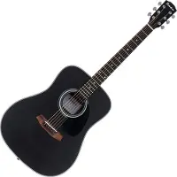 Pasadena PD-100 Black Akoestische gitaar