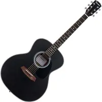 Pasadena PG-100 Black Jumbo akoestische gitaar