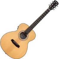 Pasadena PT-200E Natural Elektro-akoestische gitaar