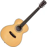 Pasadena PT-200 Natural Akoestische gitaar