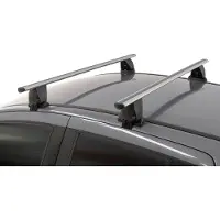 Menabo Dakdragers geschikt voor Lexus CT 200h 2011-heden 5-deurs hatchback Delta zilver