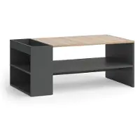 Vicco Wido Salontafel – 100 x 55 cm met planken Antraciet/Sonoma