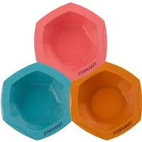 Framar Colorist Kit Beacation