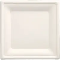 Papstar 1x 100 Borden van suikerriet pure hoekig 20 cm x 20 cm wit