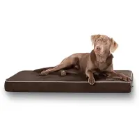 Knuffelwuff hondenmat Maui van velours met 9 cm schuimstof bruin L 78 x 65