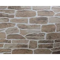 Marburg Wallcoverings Steen behang bruin vlies 50814