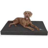 Knuffelwuff orthopedische hondenmat Palomino van met laser doorstikt kunstleer L 80 x 60 cm zwart