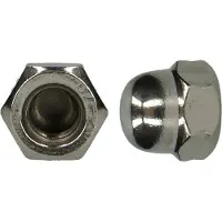 Pgb-Europe PGB-FASTENERS | Zeskant dopmoer DIN 1587 M12 A2 | 100 st 001587A0001203