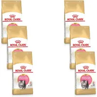 Royal Canin 6x Kattenvoer Droog Persian Kitten 2 kg