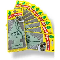 ARBRE MAGIQUE - Car Airfreshner - Frosted Pine 12 pack!