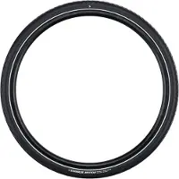 Schwalbe Buitenband Big Apple 28 x 2,00 / 50-622 - zwart