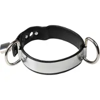Rimba - Verstelbare Lederen Halsband met Metalen Plaat en Hangslot - Stijlvol en Veilig