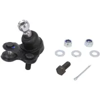 Delphi ONDERSTE FUSEEKOGEL (L) TC3402 Delphi voor o.a. HONDA
