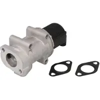 NRF 48396 EGR klep