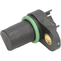 Delphi SS11250 Krukassensor
