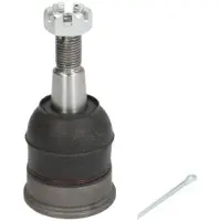 Delphi Fuseekogel TC2900