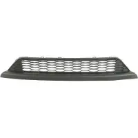 BLIC 6502-07-2904911P Ventilatiegrille, bumper