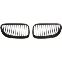 BLIC 6502-07-0062911KP Radiator grill