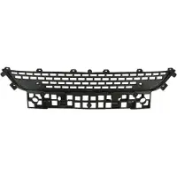 BLIC 5703-05-6092913P Ventilatiegrille, bumper