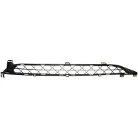 BLIC 6502-07-0538910Q Ventilatiegrille, bumper