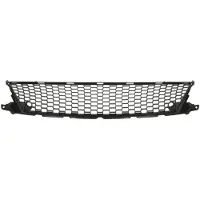BLIC 6502-07-8171915P Ventilatiegrille, bumper