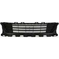 BLIC 6502-07-5519921P Ventilatiegrille, bumper