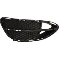 BLIC 6502-07-3529913GP Ventilatiegrille, bumper