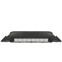 BLIC 6502-07-8186911P Ventilatiegrille, bumper