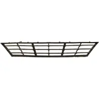 BLIC 6502-07-0067927GP Ventilatiegrille, bumper