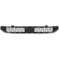 BLIC 6502-07-3183910P Radiator grill