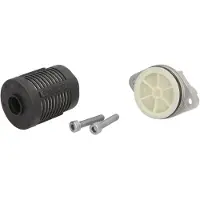 Borg Warner DS2002968 Hydrauliekfilter, Haldex koppeling