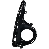 BLIC 6502-07-8156929P Ventilatiegrille, bumper