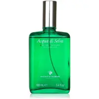 Victorio & Lucchino Di Selva Vapo 100ml Keuls Water