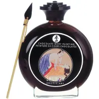 Shunga Choco Body Paint