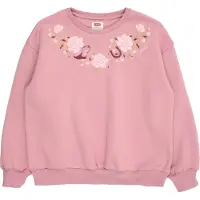 Levi's Sweatshirt 'ROSE FRONT' lichtgroen / pruim / rosé / wijnrood