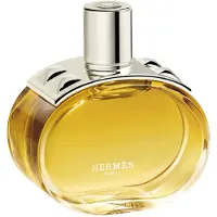 Hermès Paris Damesgeuren Barénia Eau de Parfum Intense 100ml | Dames Parfum